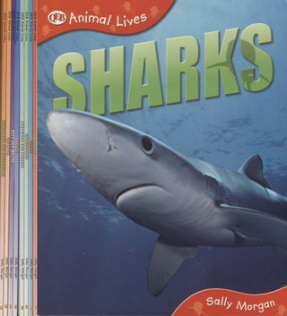 Item #2996 Books Are Fun 8 Title Animal Lives Set : Sharks : Bears : Orangutans : Tortoises and...
