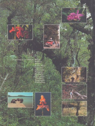 Orchids Travel by Air : A Pictorial Safari