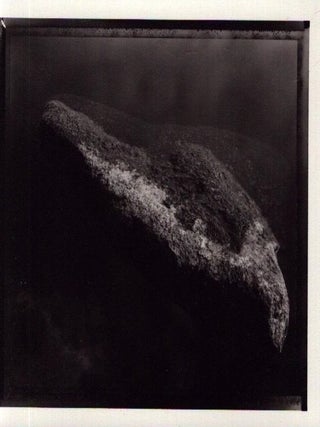 Martti Jämsä : Kivi auringossa - Signed & numbered