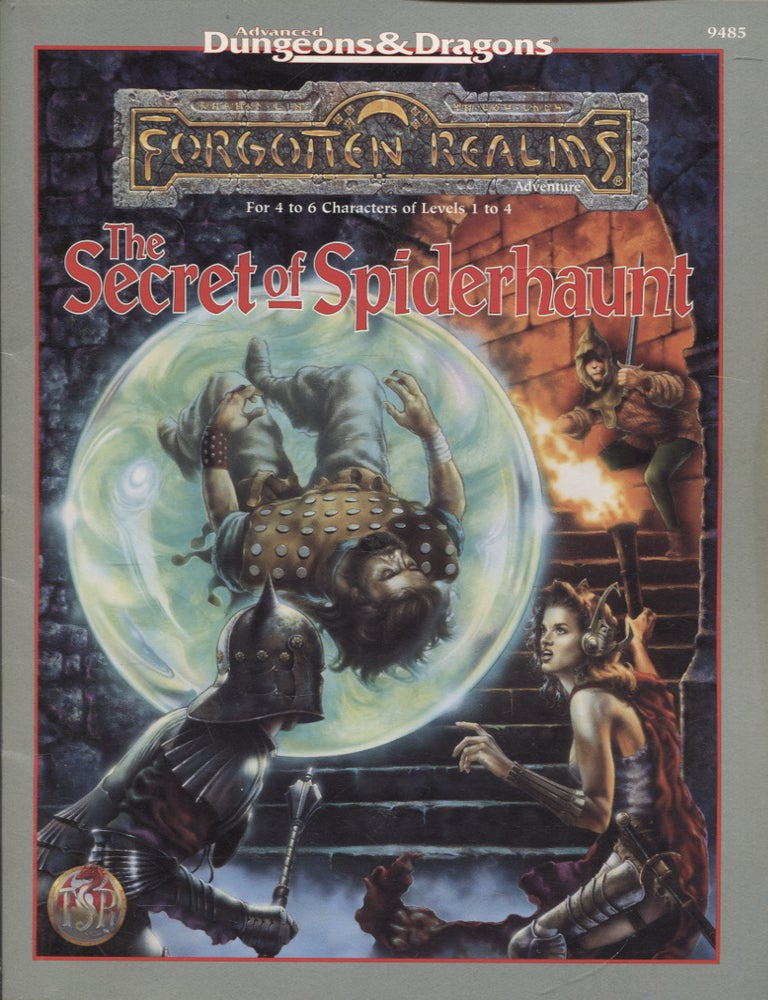 Dungeons and Dragons Forgotten Realms Poster Book [Book]