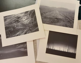 Kaiku : Metsän kuvasalkku = The Echo : A Portfolio of a Forest - 16 prints in a portfolio, signed & numbered